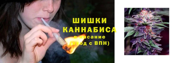 СК Кукмор