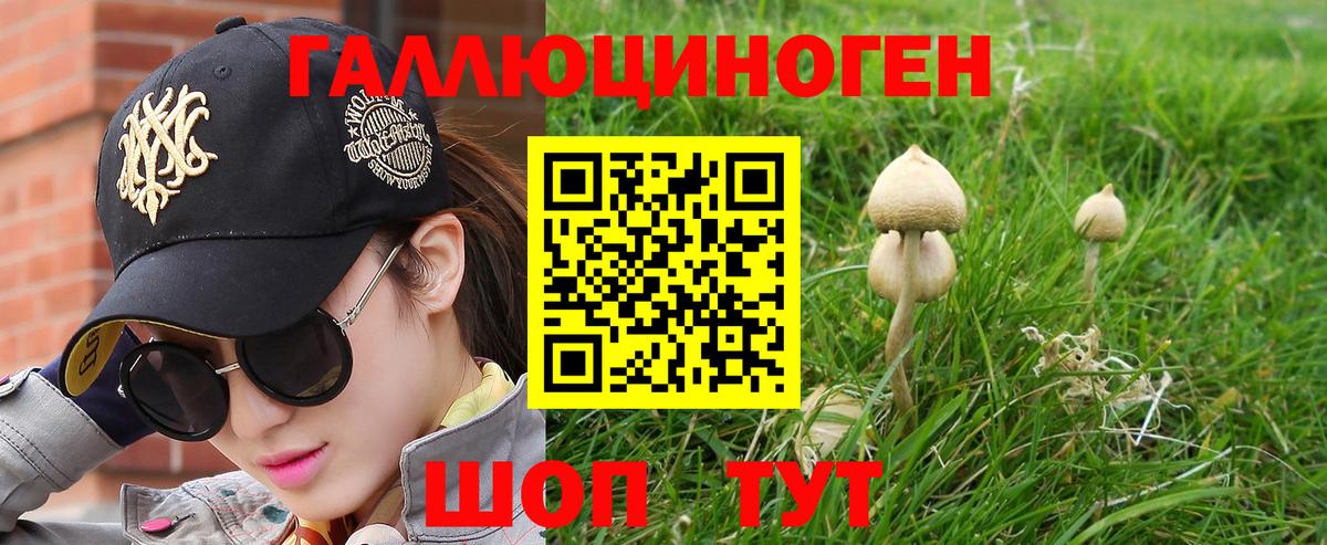 Галлюциногенные грибы Magic Shrooms Малгобек