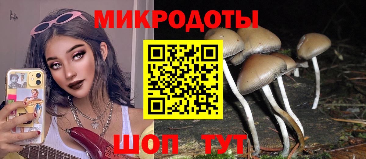 Галлюциногенные грибы мухоморы  Вход с VPN  Малгобек  Галлюциногенные грибы Cubensis 